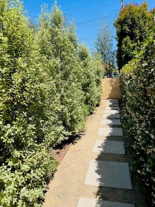 1152 Palms Blvd, Venice, CA 90291 - Image 1